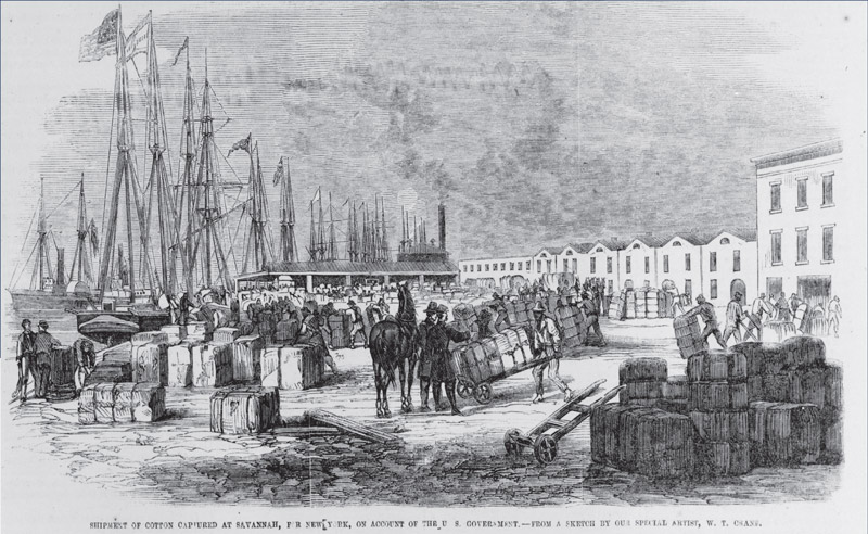 Shipment of cotton at Savannah