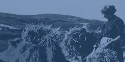 Laggan Way of life Banner