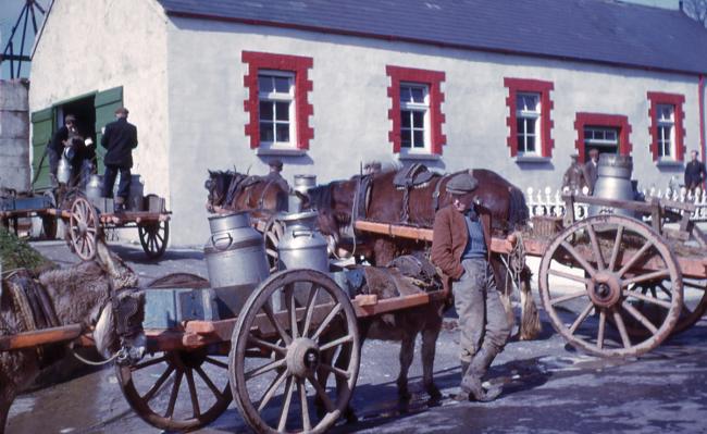 Tullyrap creamery in the 1950s. Photograph by Ludwig Schenkel. Source: Sean Beattie/David Bigger.