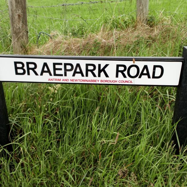 Braepark Road (Brae – small hill)